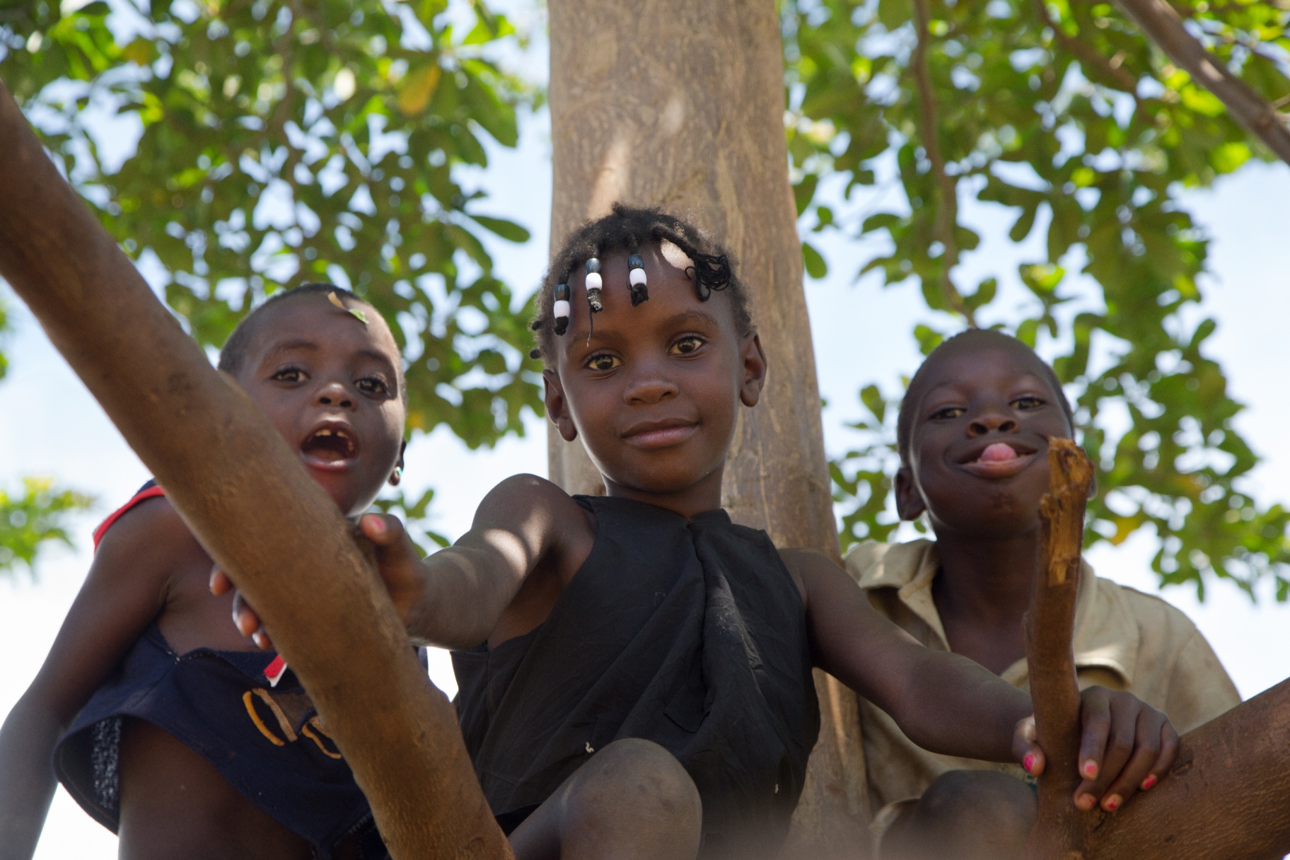 Children in a tree, near Lake Victoria